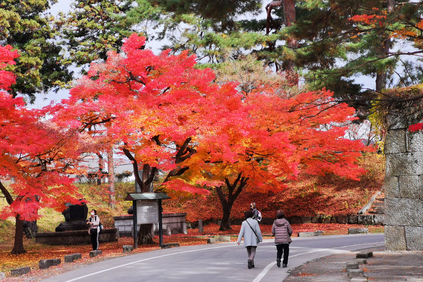 福島-會津若松城